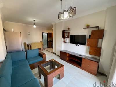 Furnished 1-bedroom apartment