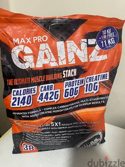 whey protein gainer gainz pro