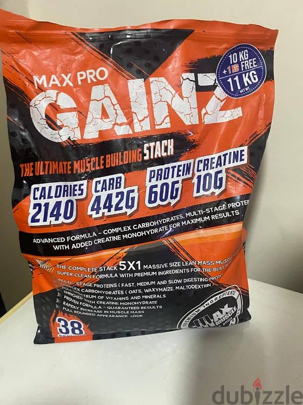 whey protein gainer gainz pro 1