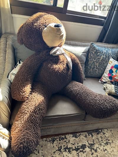 تيدي بير teddy bear