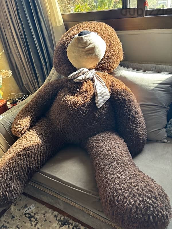 تيدي بير teddy bear 2