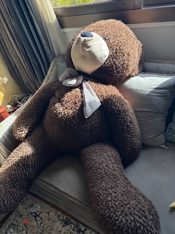 تيدي بير teddy bear 3