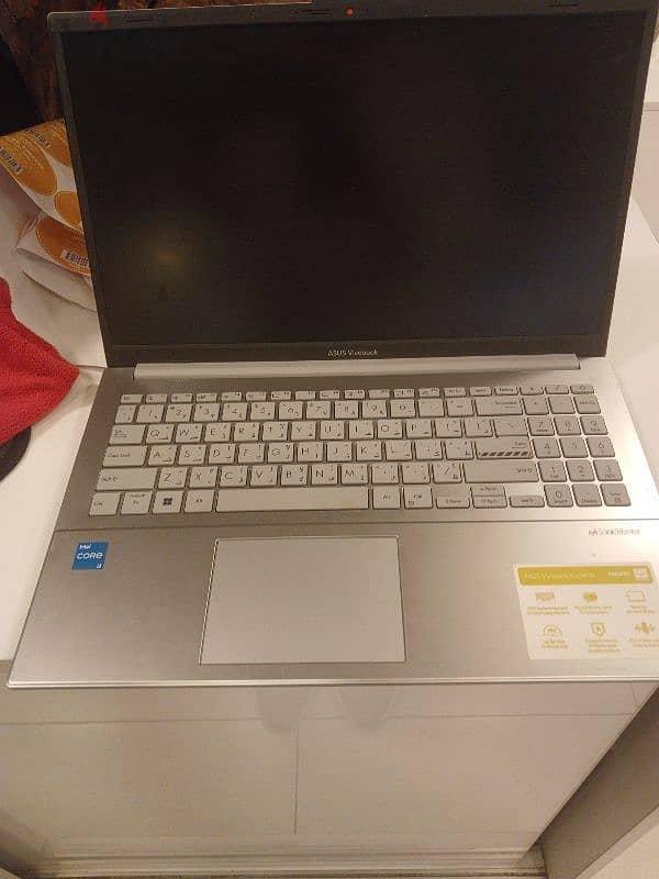 Asus Vivobook 3