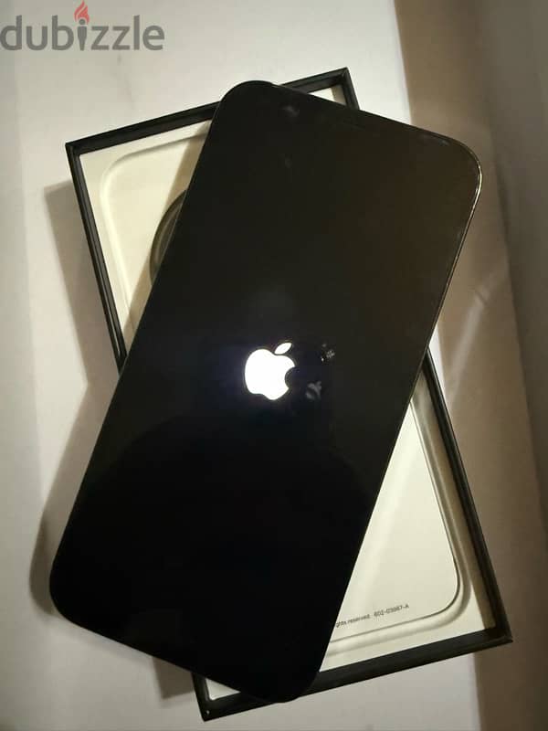 iphone 12 pro max 1