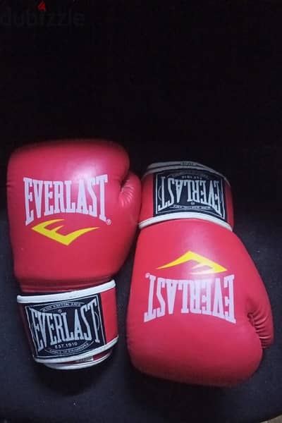 Everlast gloves boxing