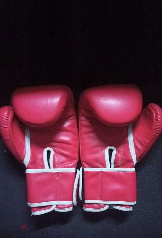 Everlast gloves boxing 1