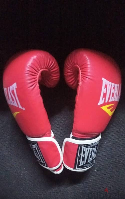 Everlast gloves boxing 3