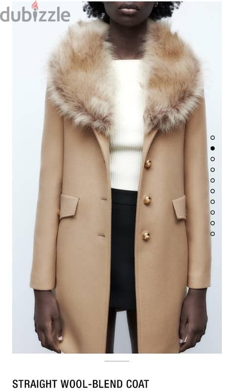 Zara Coat - Beig - New 0