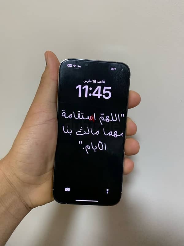 iPhone 13 Pro Max 128 gb 6