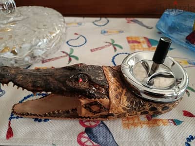 طفاية رأس تمساح محنط . crocodile ashtray