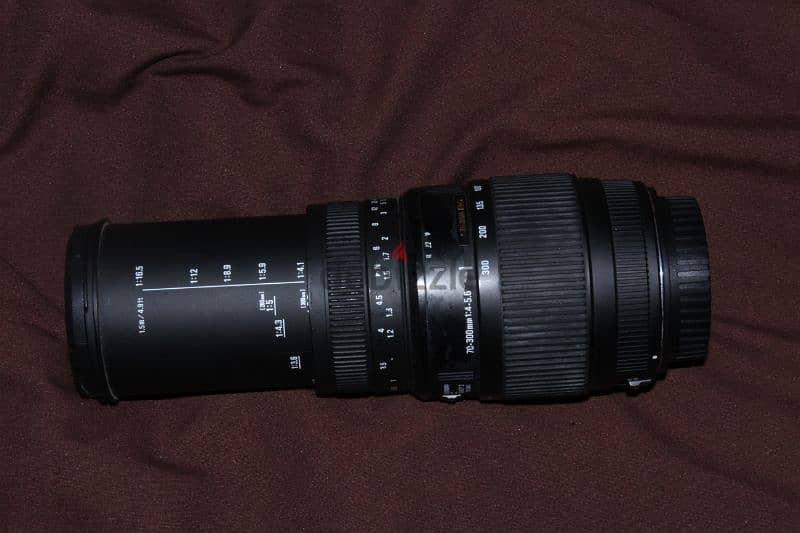 lens for canon sigma 70-300 2