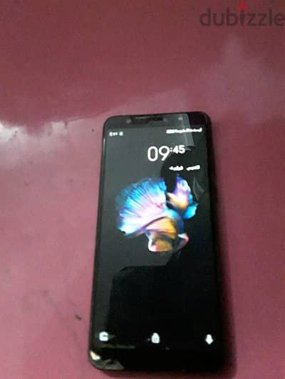 lava z81