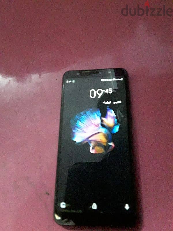 lava z81 0