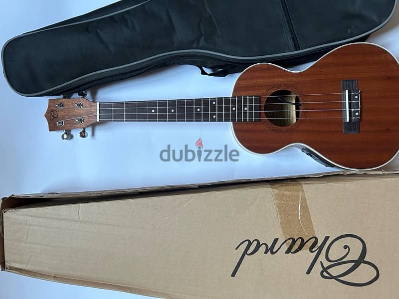 ukulele 2