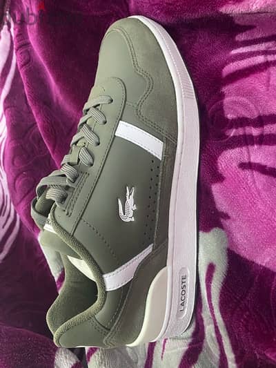 للبيع بنصف سعره lacoste shoes men