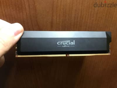 1*16Gb Ddr5 curcial pro 6000 cl36