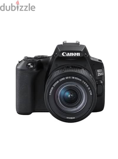 canon 250D