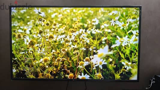 تليفزيون سمارت LG 55بوصة 4K UHD جديد بحالته  استعمال 8شهور