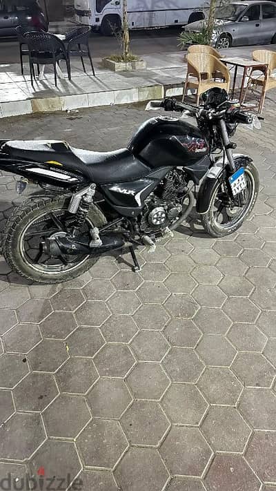 Benelli VLR 2019