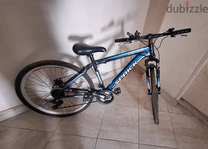 Challenger Blue Mountain Bike