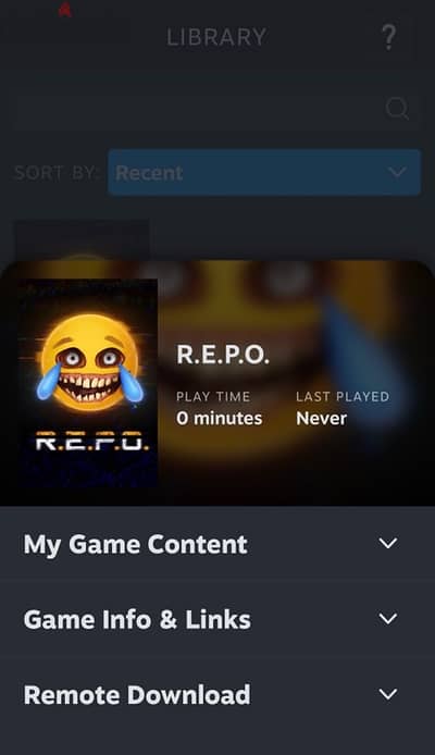 The Repo -repo steam account