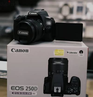 canon 250 d