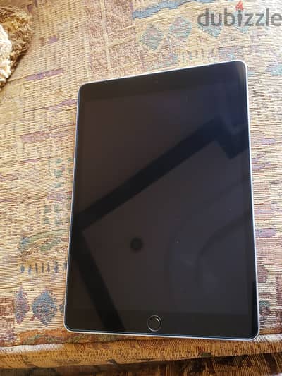 Ipad 9th Gen WiFi 256 gb Silver