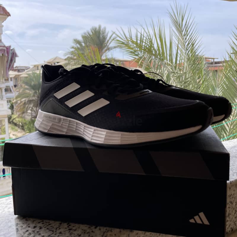 Cotchi adidas original 1