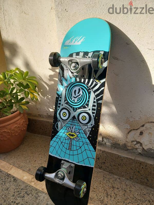 Skateboard 1