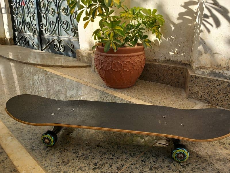 Skateboard 2