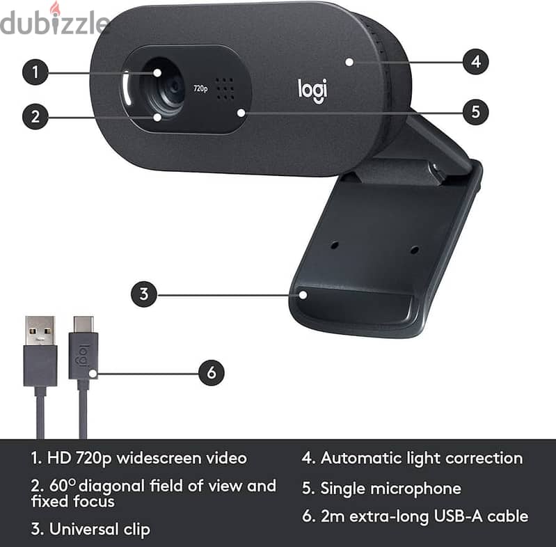 Logitech C505 HD Webcam 1