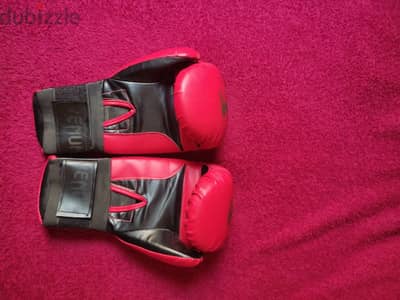 kick boxing gloves /boxing gloves 12oz