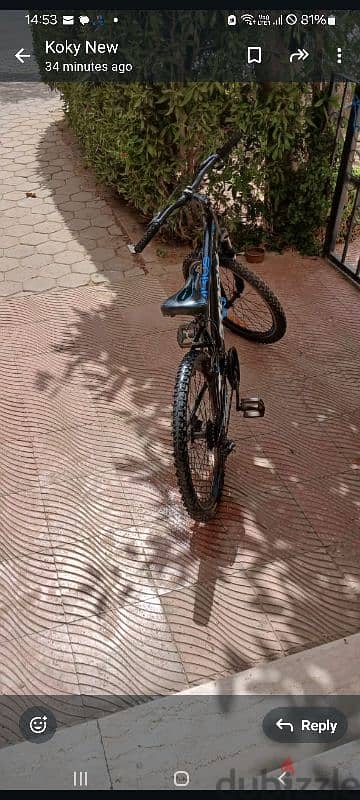 bicycle storm 1