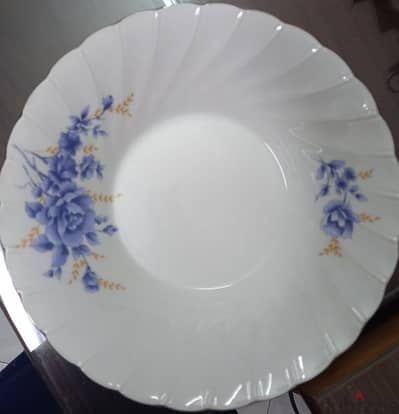 طقم صيني اركوبال ٦٦ قطعه