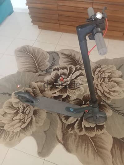 for sale