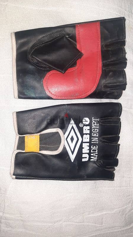 gloves for training 1