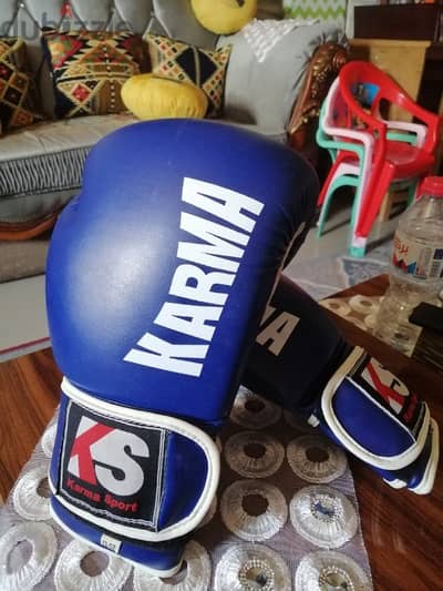 glovs boxing size 12 oz