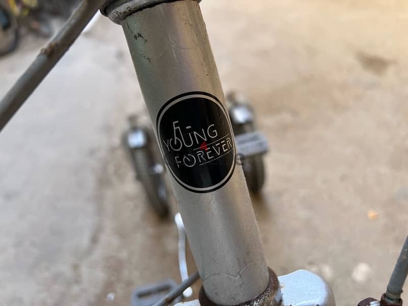 city bike 3