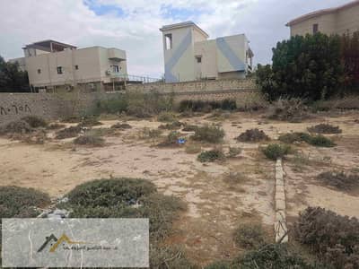 قطعة ارض للبيع مسجله عقد ازرق منطقة فيلل مميزه بالكينج مريوط بحرى