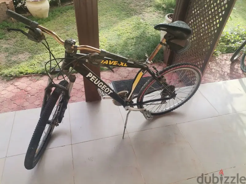 peugot65580122565379123