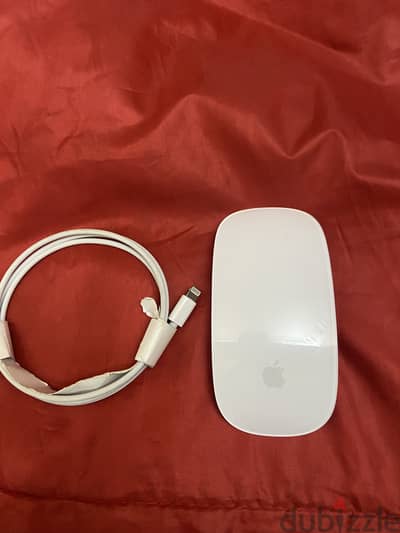 Apple magic mouse 2
