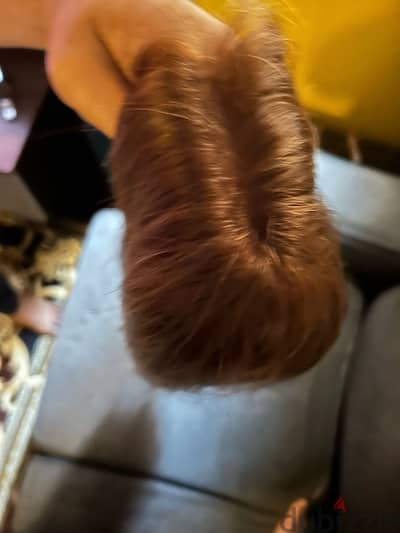 باروكة طبيعي