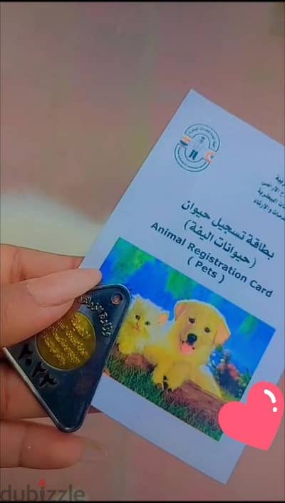 كلب للبيع