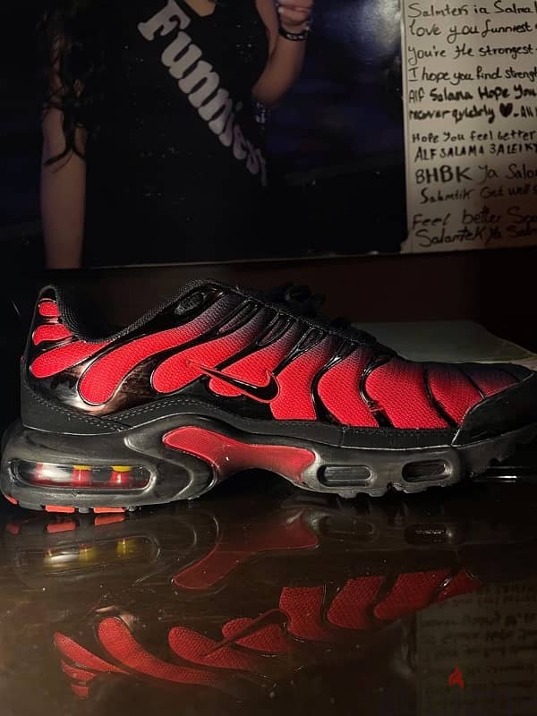 TN mirror 3