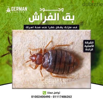 مبيدات حشرات