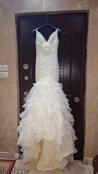 Pronovias VIP Wedding Dress فستان زفاف