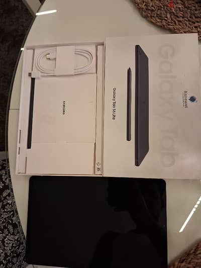 Galaxy Tab S6 Lite (2024)