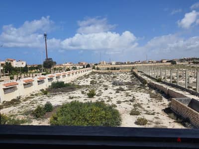 أرض للبيع بحري طريق الأسكندرية مطروح الكيلو ٤٠٫٥ - برج العرب