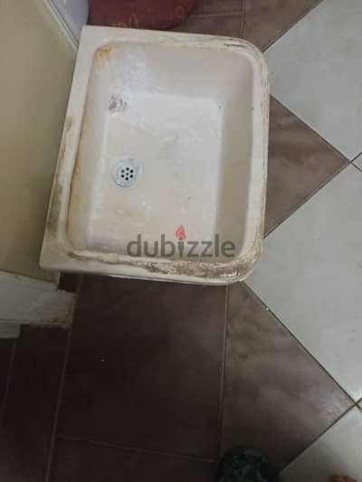 العجمى  هاموفيل
