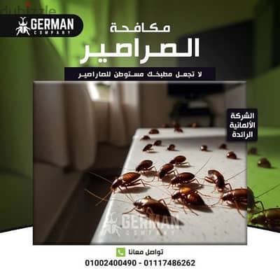 رش مبيدات حشرات المنزل